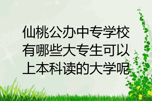 仙桃公办中专学校有哪些大专生可以上本科读的大学呢