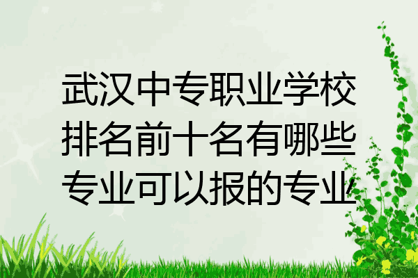 武汉中专职业学校排名前十名有哪些专业可以报的专业
