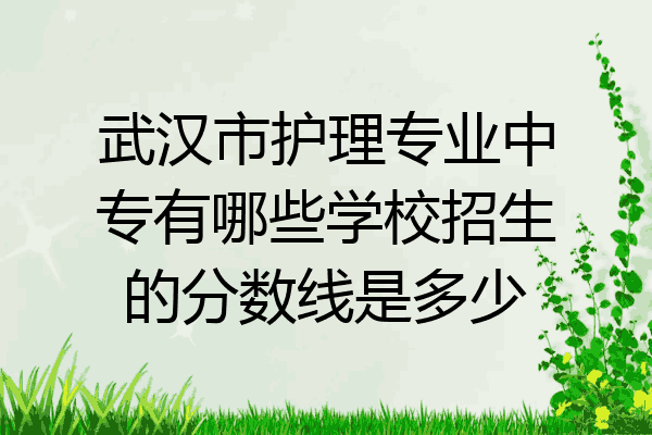 武汉市护理专业中专有哪些学校招生的分数线是多少