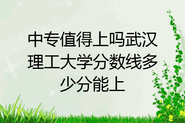 中专值得上吗武汉理工大学分数线多少分能上