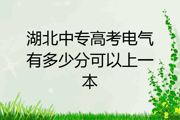 湖北中专高考电气有多少分可以上一本
