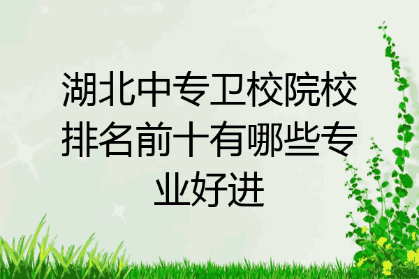 湖北中专卫校院校排名前十有哪些专业好进