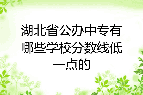 湖北省公办中专有哪些学校分数线低一点的