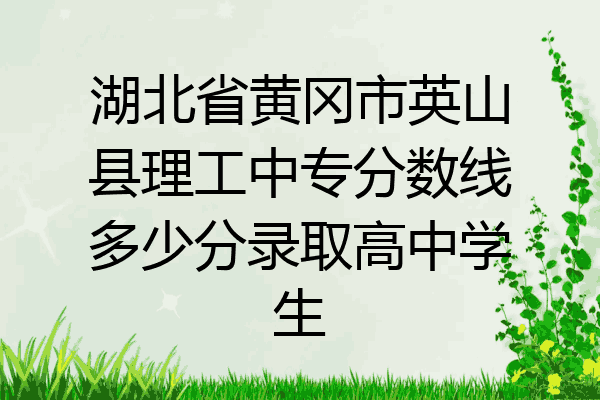 湖北省黄冈市英山县理工中专分数线多少分录取高中学生