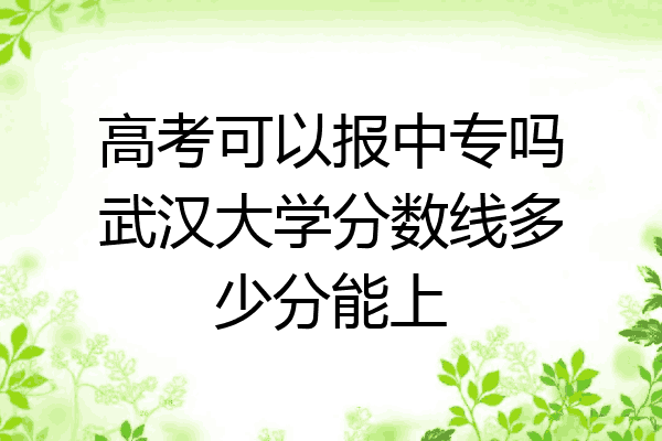 高考可以报中专吗武汉大学分数线多少分能上