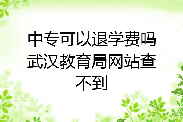 中专可以退学费吗武汉教育局网站查不到