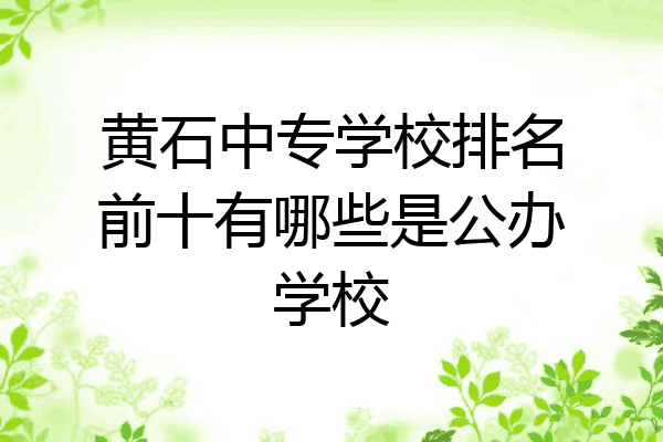 黄石中专学校排名前十有哪些是公办学校