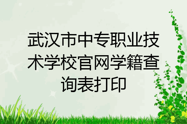 武汉市中专职业技术学校官网学籍查询表打印