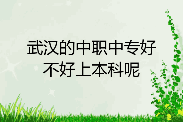 武汉的中职中专好不好上本科呢