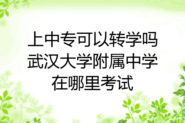 上中专可以转学吗武汉大学附属中学在哪里考试