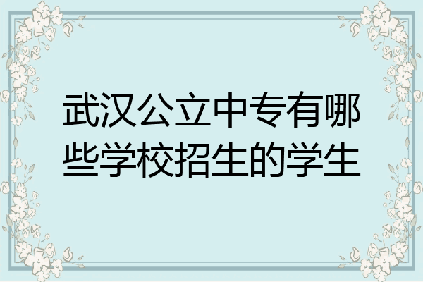 武汉公立中专有哪些学校招生的学生