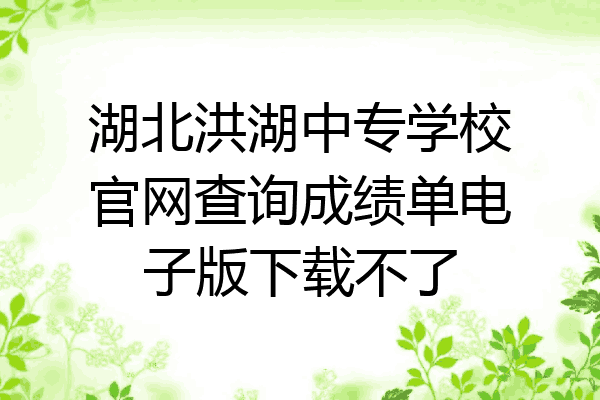 湖北洪湖中专学校官网查询成绩单电子版下载不了