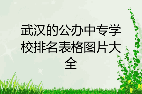 武汉的公办中专学校排名表格图片大全