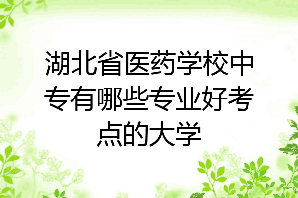 湖北省医药学校中专有哪些专业好考点的大学