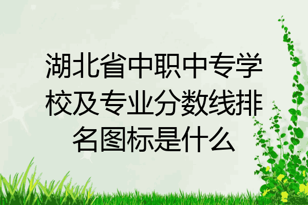 湖北省中职中专学校及专业分数线排名图标是什么