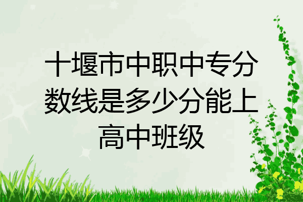 十堰市中职中专分数线是多少分能上高中班级