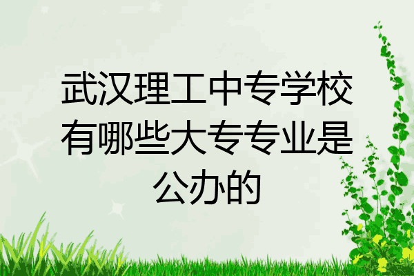 武汉理工中专学校有哪些大专专业是公办的
