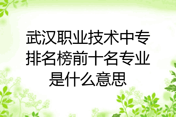 武汉职业技术中专排名榜前十名专业是什么意思