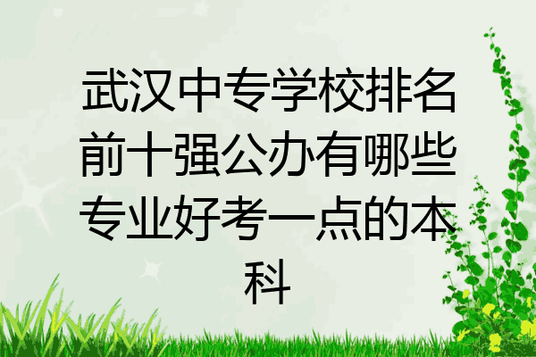 武汉中专学校排名前十强公办有哪些专业好考一点的本科