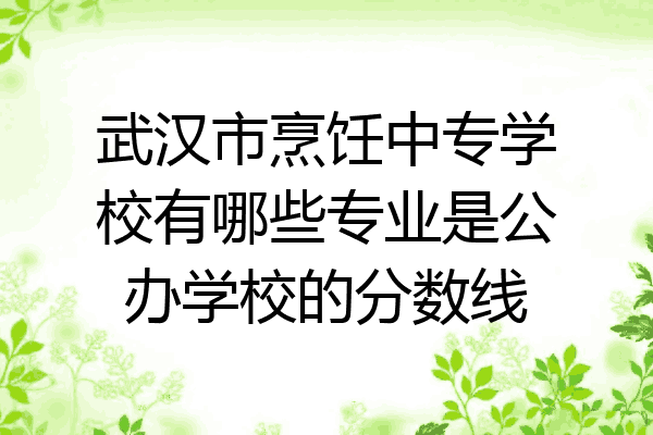 武汉市烹饪中专学校有哪些专业是公办学校的分数线