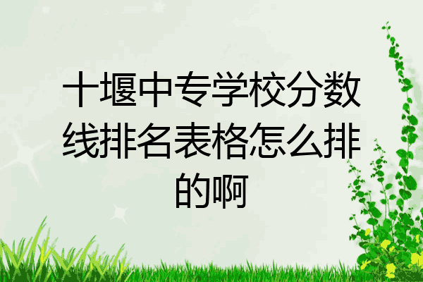 十堰中专学校分数线排名表格怎么排的啊