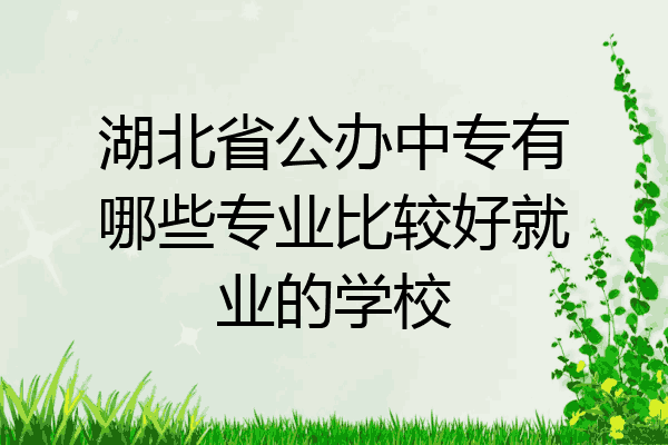 湖北省公办中专有哪些专业比较好就业的学校