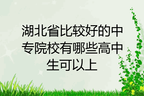 湖北省比较好的中专院校有哪些高中生可以上