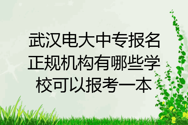 武汉电大中专报名正规机构有哪些学校可以报考一本