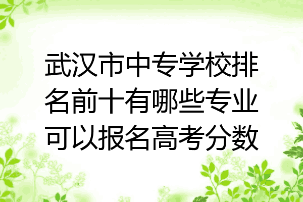 武汉市中专学校排名前十有哪些专业可以报名高考分数