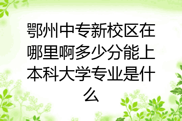 鄂州中专新校区在哪里啊多少分能上本科大学专业是什么