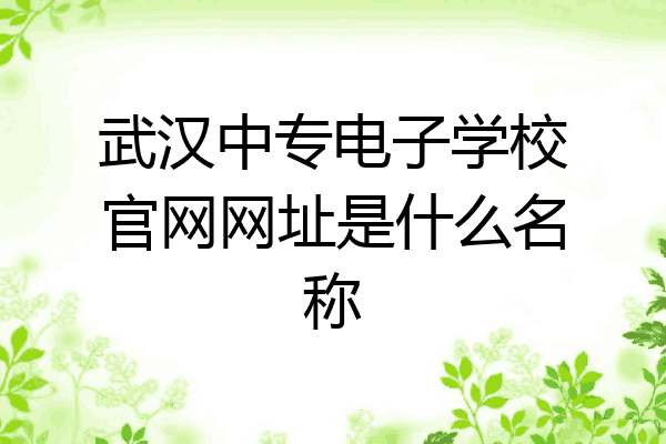 武汉中专电子学校官网网址是什么名称