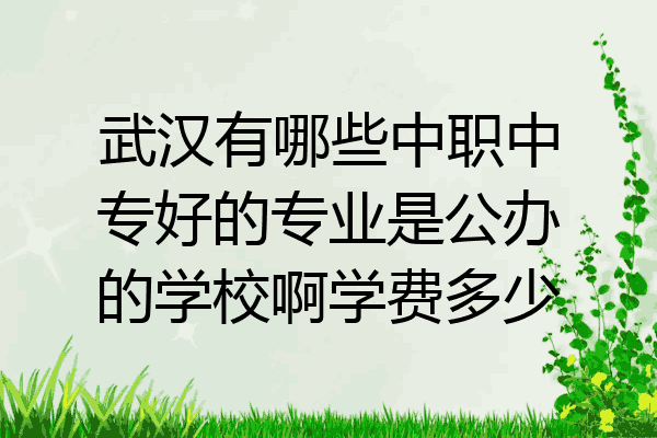 武汉有哪些中职中专好的专业是公办的学校啊学费多少