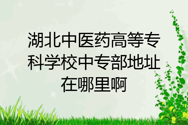 湖北中医药高等专科学校中专部地址在哪里啊