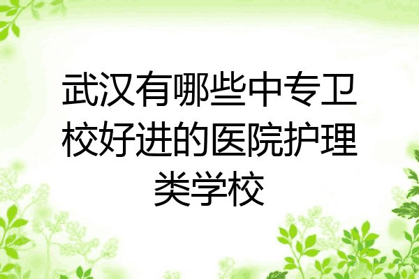 武汉有哪些中专卫校好进的医院护理类学校