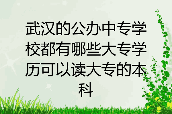 武汉的公办中专学校都有哪些大专学历可以读大专的本科