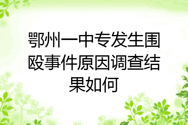 鄂州一中专发生围殴事件原因调查结果如何