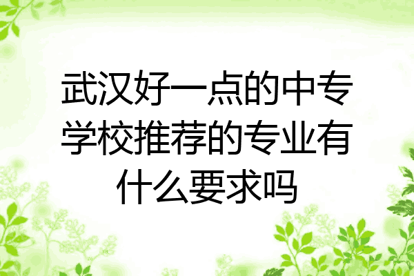 武汉好一点的中专学校推荐的专业有什么要求吗