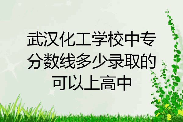 武汉化工学校中专分数线多少录取的可以上高中