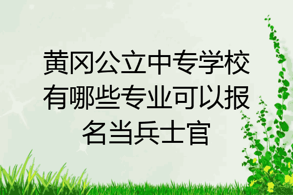 黄冈公立中专学校有哪些专业可以报名当兵士官