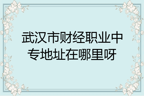 武汉市财经职业中专地址在哪里呀