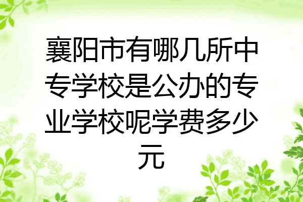 襄阳市有哪几所中专学校是公办的专业学校呢学费多少元