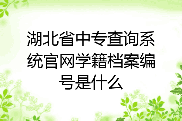 湖北省中专查询系统官网学籍档案编号是什么