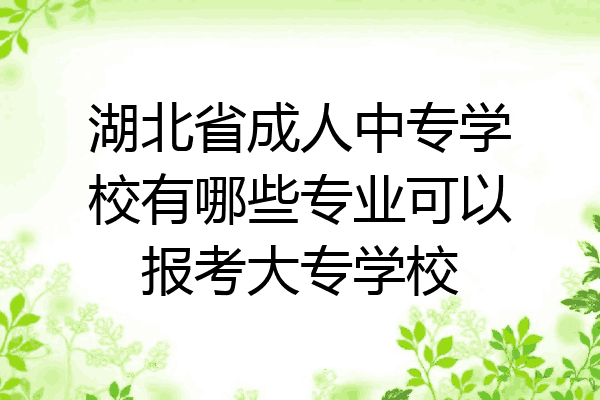 湖北省成人中专学校有哪些专业可以报考大专学校