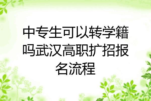 中专生可以转学籍吗武汉高职扩招报名流程