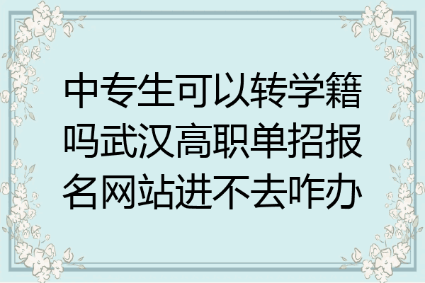 中专生可以转学籍吗武汉高职单招报名网站进不去咋办