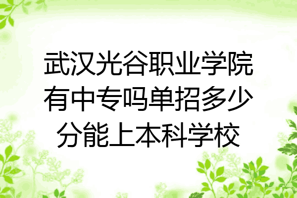 武汉光谷职业学院有中专吗单招多少分能上本科学校
