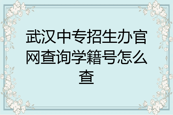 武汉中专招生办官网查询学籍号怎么查