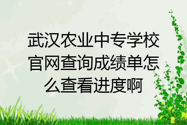 武汉农业中专学校官网查询成绩单怎么查看进度啊