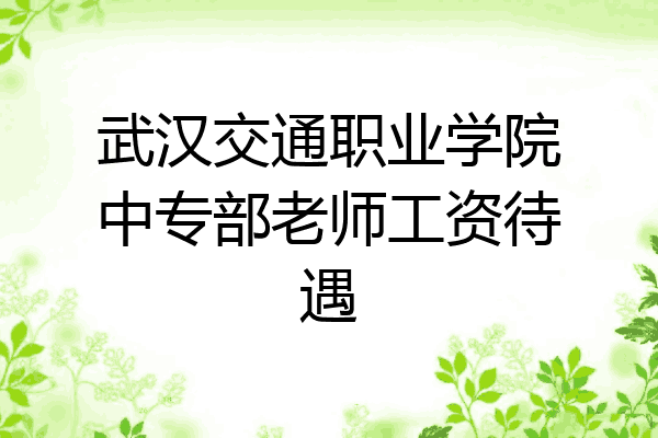 武汉交通职业学院中专部老师工资待遇