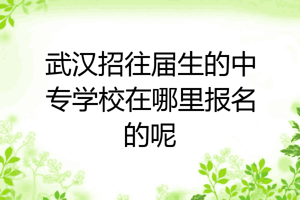 武汉招往届生的中专学校在哪里报名的呢